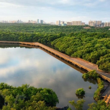 Descubre la belleza escondida de un paraíso natural en Barranquilla: Ecoparque Ciénaga de Mallorquín