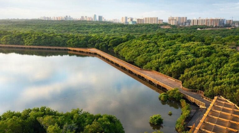 Descubre la belleza escondida de un paraíso natural en Barranquilla: Ecoparque Ciénaga de Mallorquín